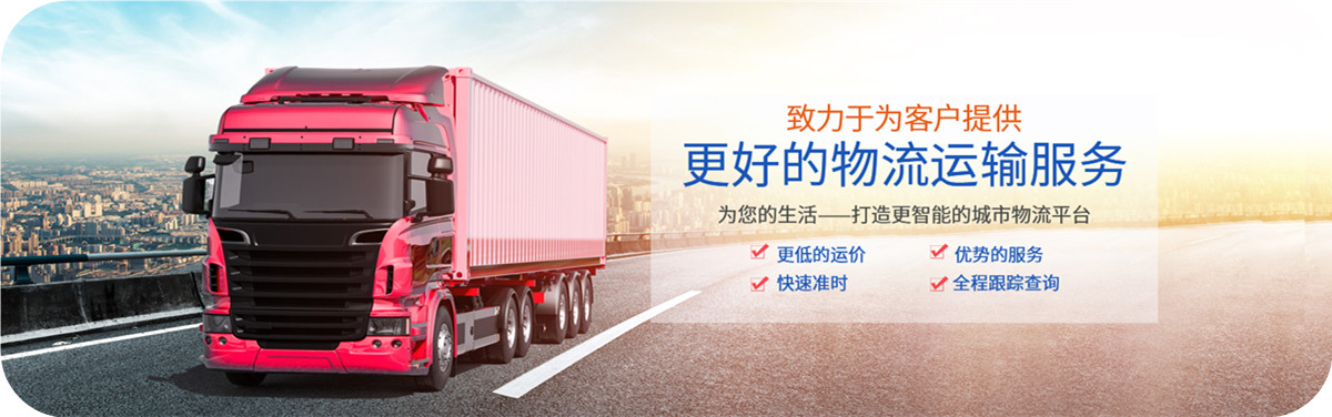 物流指導(dǎo)、方案策劃